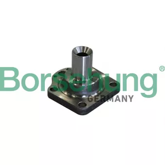 Moyeu de roue arrière Borsehung B11291