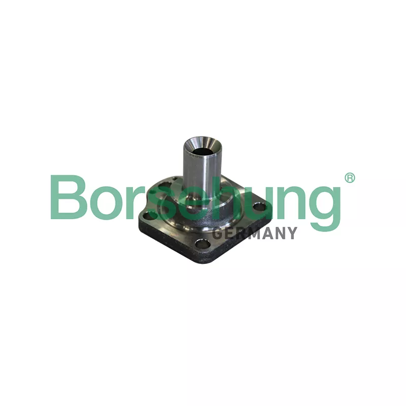 Moyeu de roue arrière Borsehung B11291