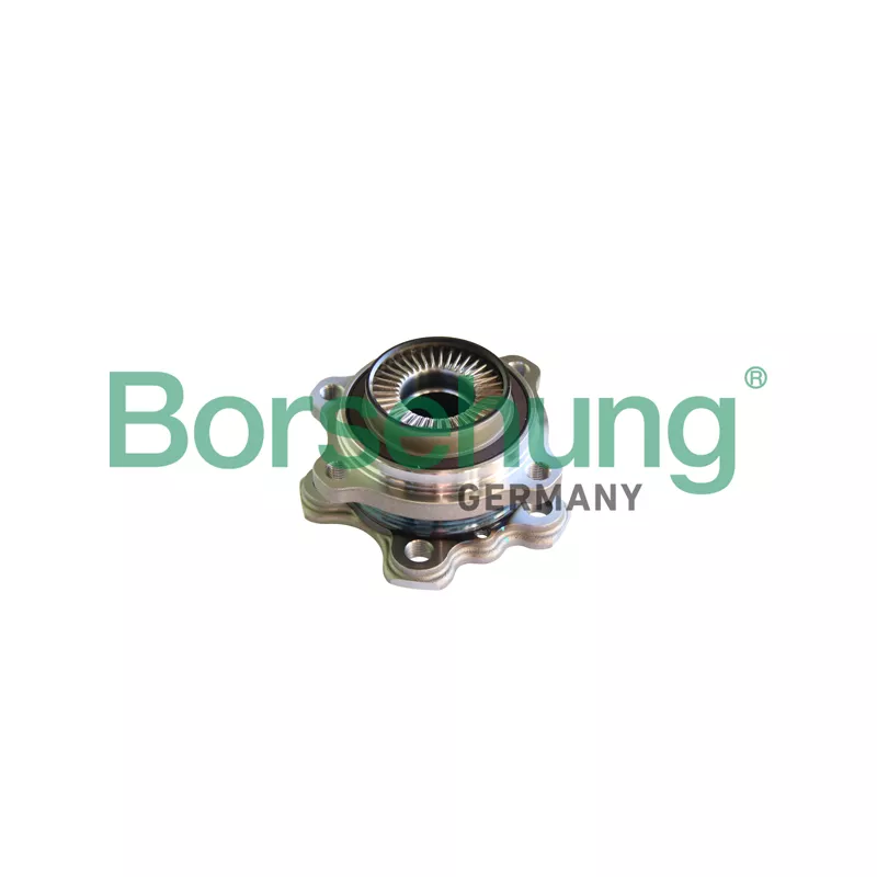 Roulement de roue arrière Borsehung B11293