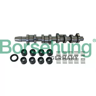 Jeu d'arbres à came Borsehung B11307