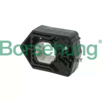 Suspension, radiateur Borsehung