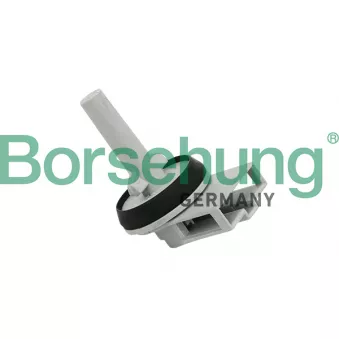 Capteur, température intérieur Borsehung B11447