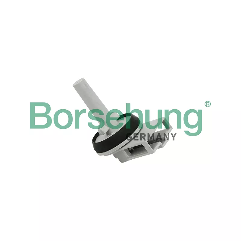 Capteur, température intérieur Borsehung B11447