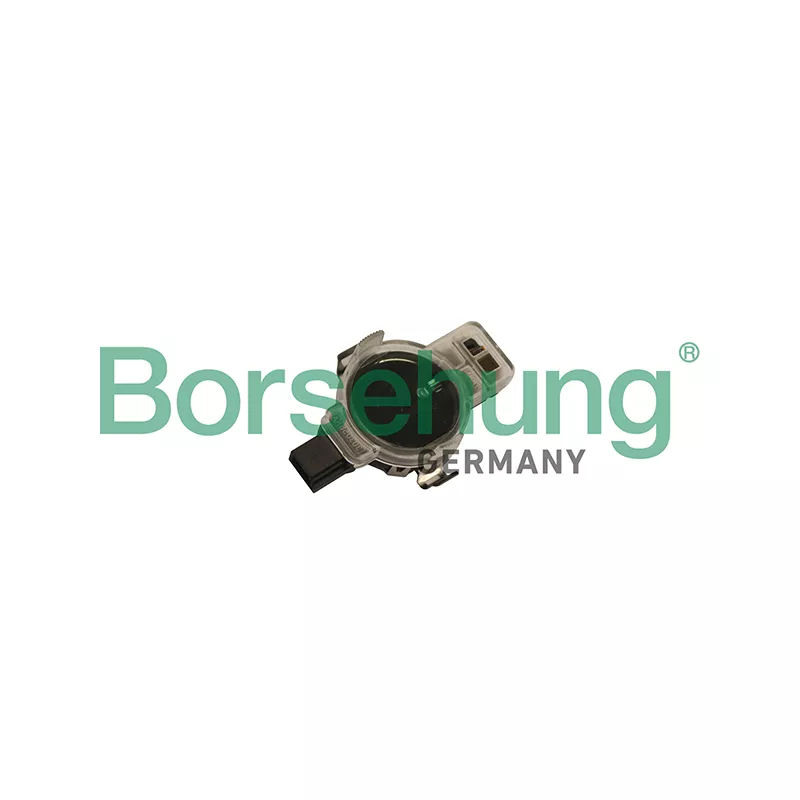 Capteur, pression du tuyau d'admission Borsehung B11837