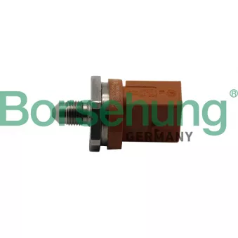 Capteur, pression du tuyau d'admission Borsehung B11840