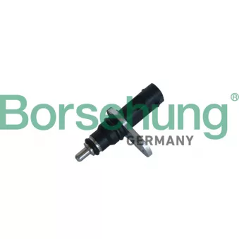 Sonde de température, liquide de refroidissement Borsehung B11863