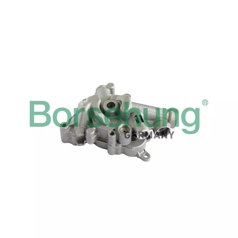Pompe à huile Borsehung B11899