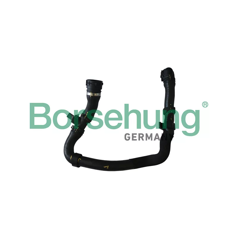 Durite de radiateur Borsehung B11960