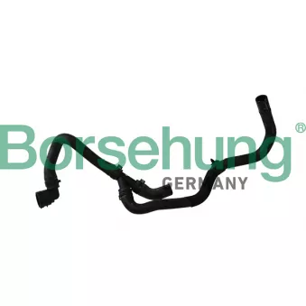 Durite de radiateur Borsehung B11972