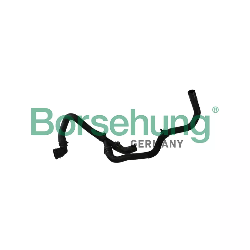 Durite de radiateur Borsehung B11972