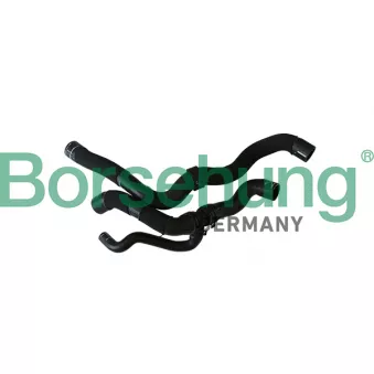 Durite de radiateur Borsehung B11974