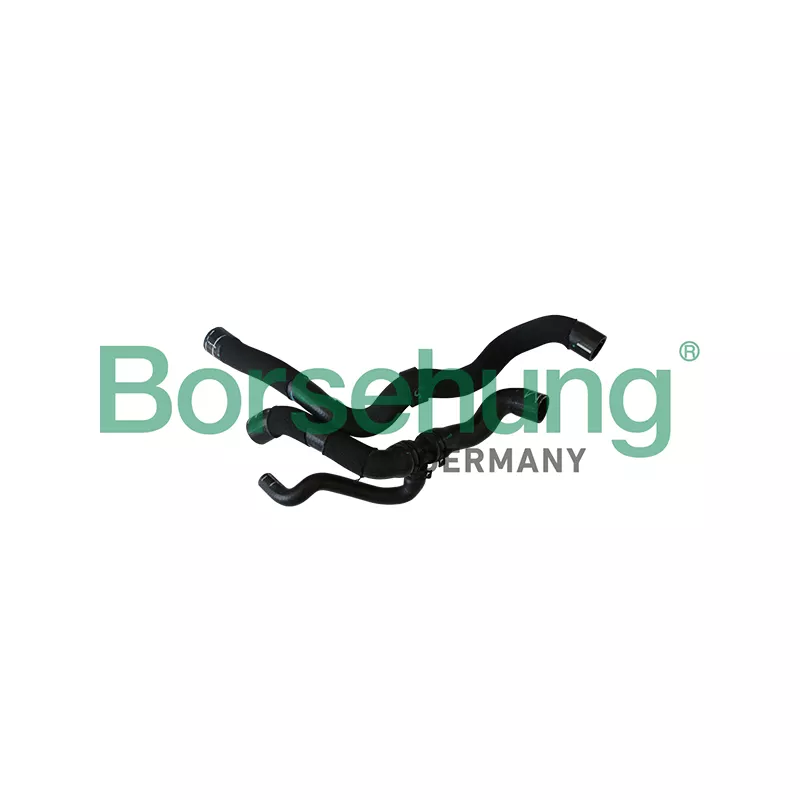 Durite de radiateur Borsehung B11974