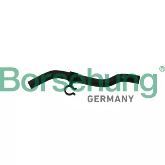Durite de radiateur Borsehung B11975