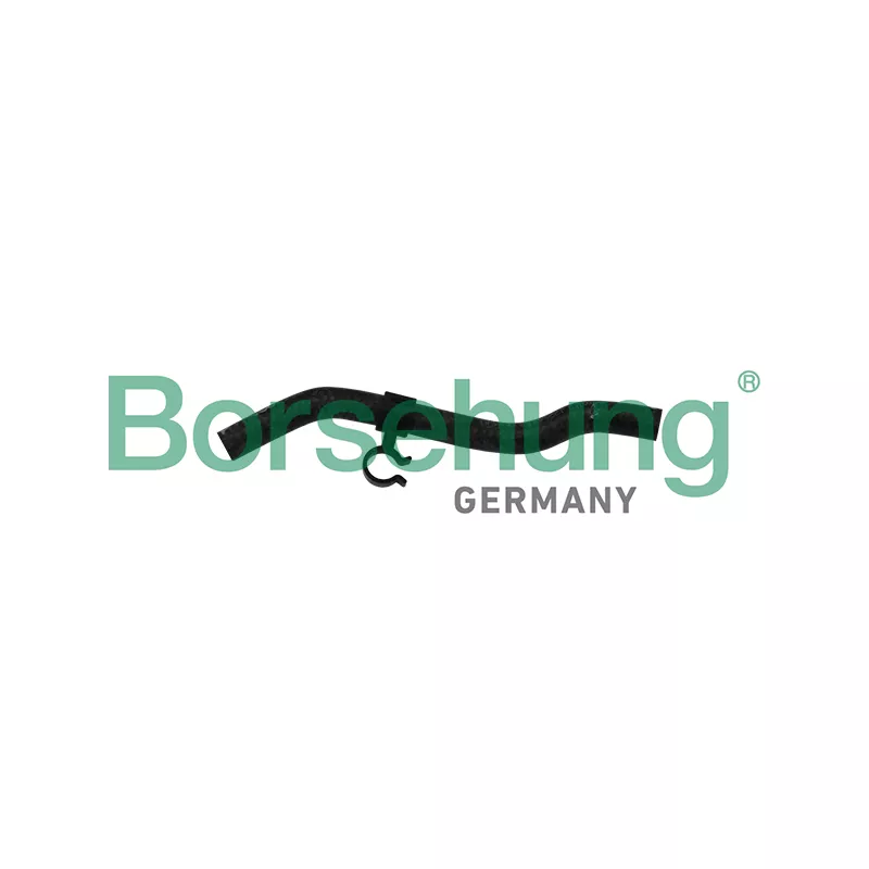 Durite de radiateur Borsehung B11975