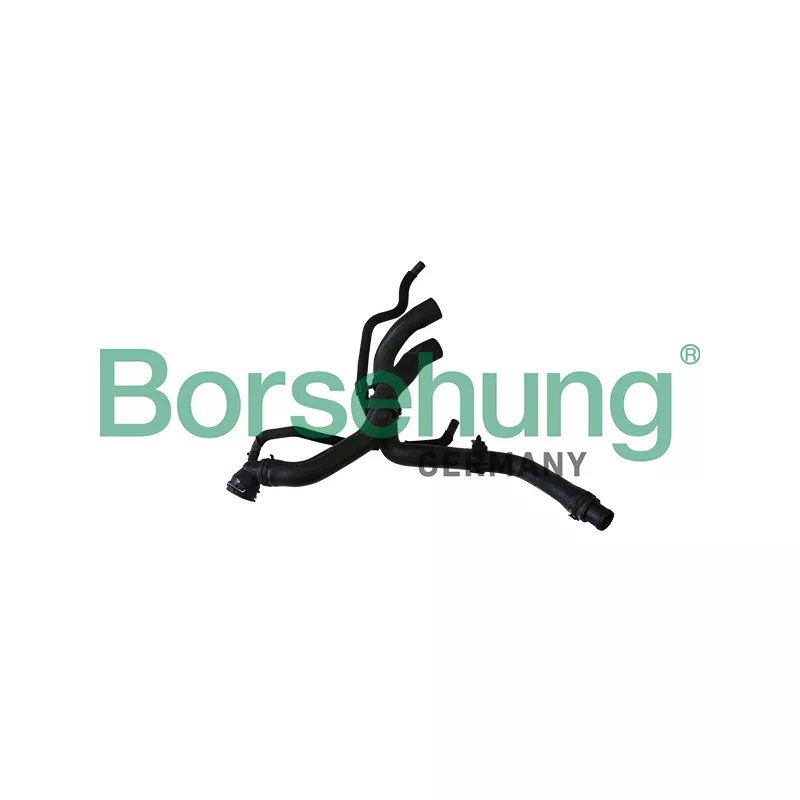 Durite de radiateur Borsehung B11977