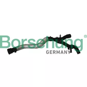 Durite de radiateur Borsehung B11979