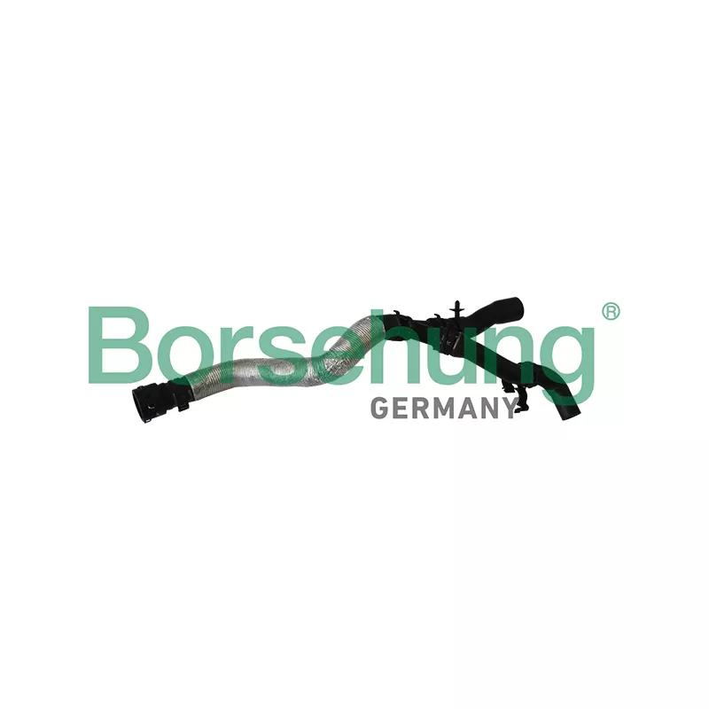Durite de radiateur Borsehung B11979