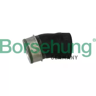 Gaine de suralimentation Borsehung B11982