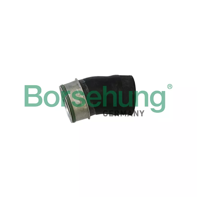 Gaine de suralimentation Borsehung B11982