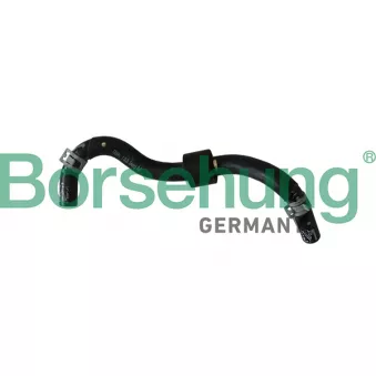 Tuyauterie de carburant Borsehung B11983