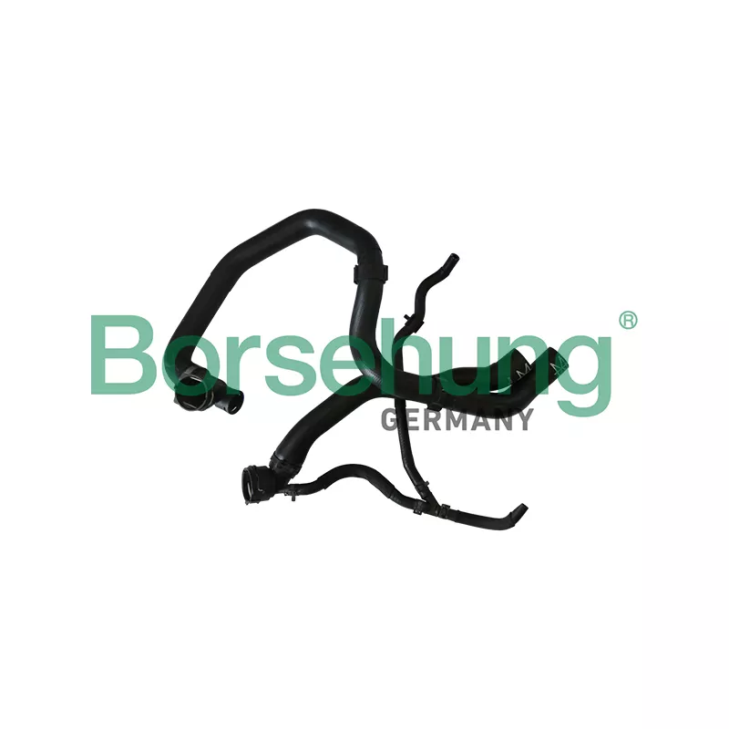 Durite de radiateur Borsehung B11985