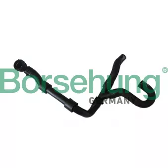 Durite de radiateur Borsehung B11987