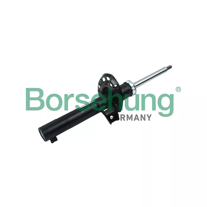 Jeu de 2 amortisseurs avant Borsehung B12137