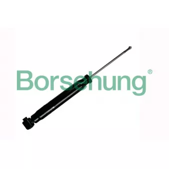 Jeu de 2 amortisseurs arrière Borsehung B12141