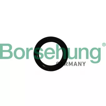 Bague d'étanchéité, vilebrequin Borsehung