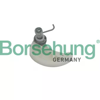 Tendeur, chaîne de distribution Borsehung