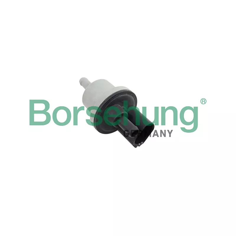 Soupape, filtre à charbon actif Borsehung B12188