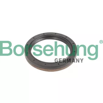 Bague d'étanchéité, flasque de boîte de vitesse manuelle Borsehung