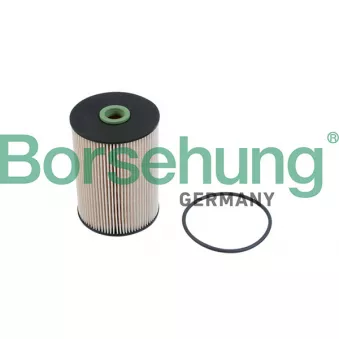 Filtre à carburant Borsehung B12214