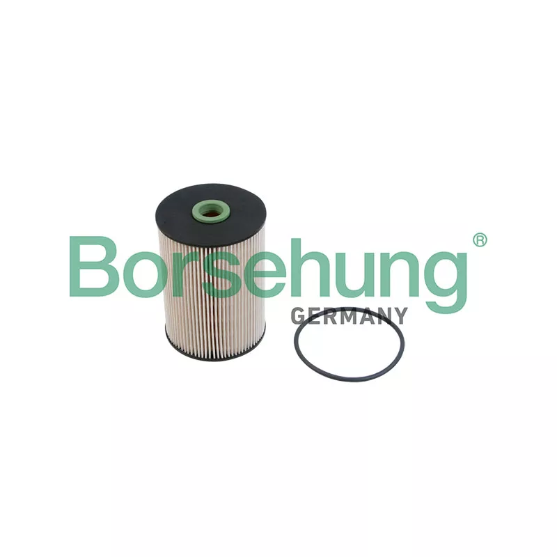 Filtre à carburant Borsehung B12214