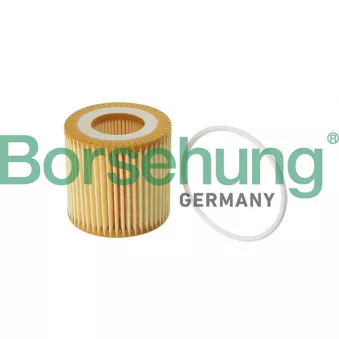 Filtre à huile Borsehung B12219