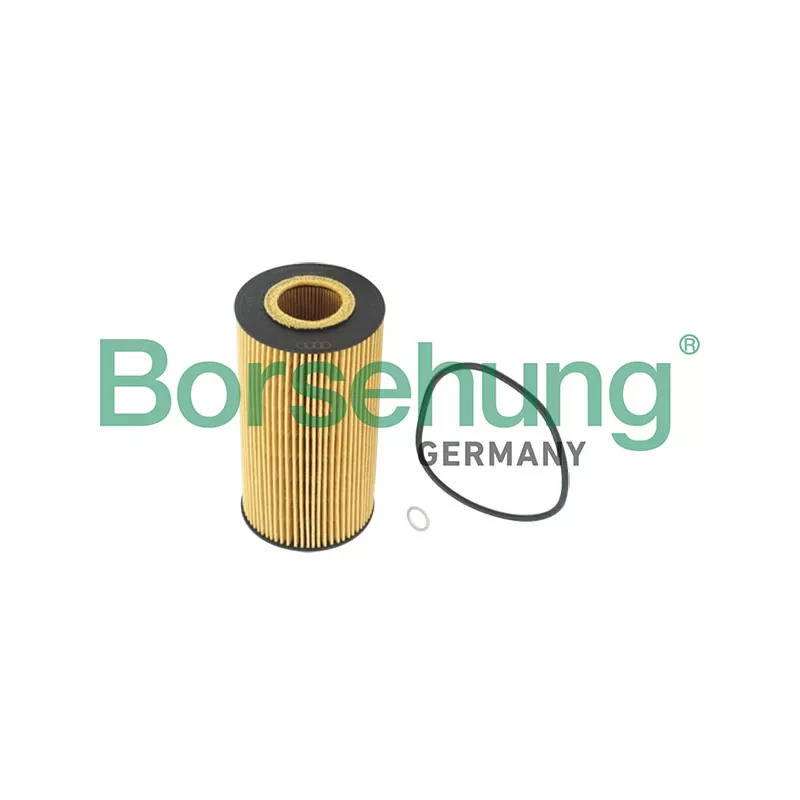 Filtre à huile Borsehung B12220