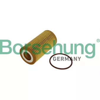 Filtre à huile Borsehung B12225
