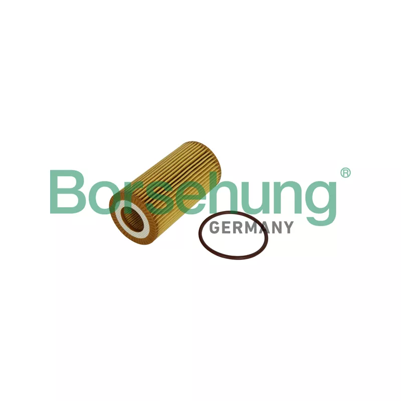 Filtre à huile Borsehung B12225