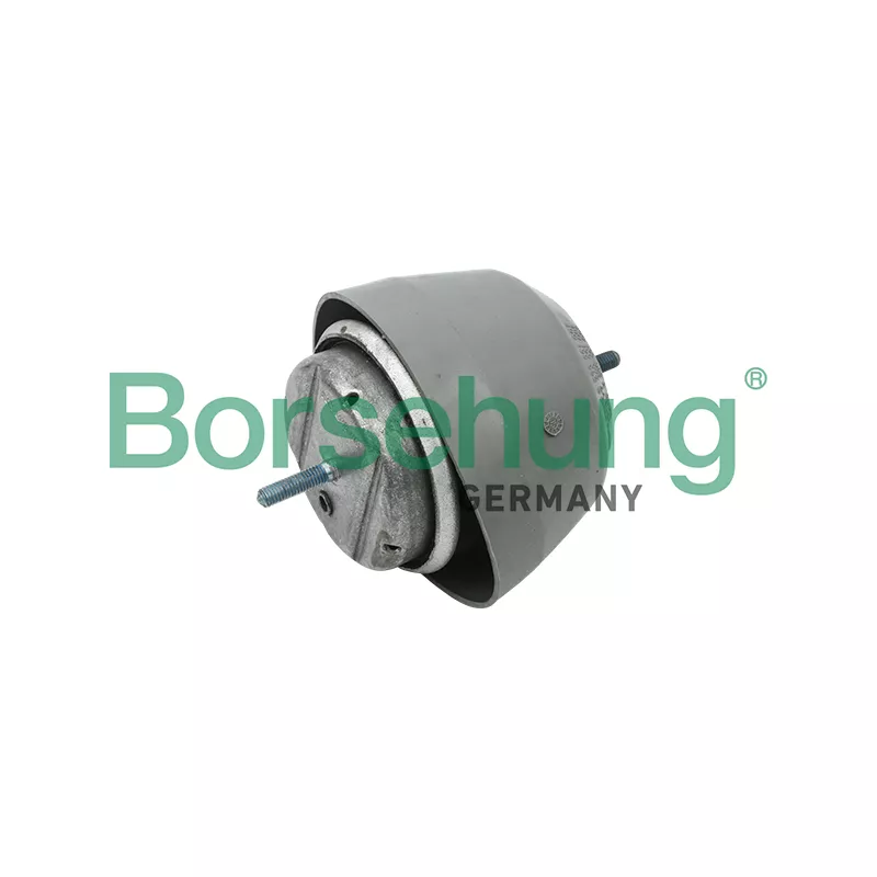 Support moteur Borsehung B12233