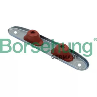 Cache batterie Borsehung B12278
