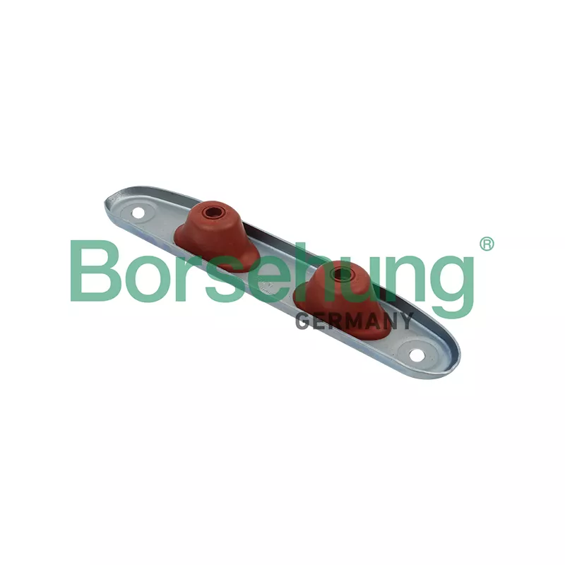 Cache batterie Borsehung B12278