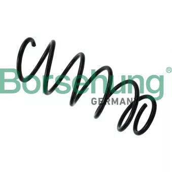 Ressort de suspension Borsehung