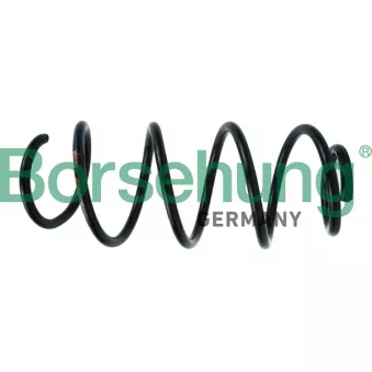 Ressort de suspension Borsehung B12561