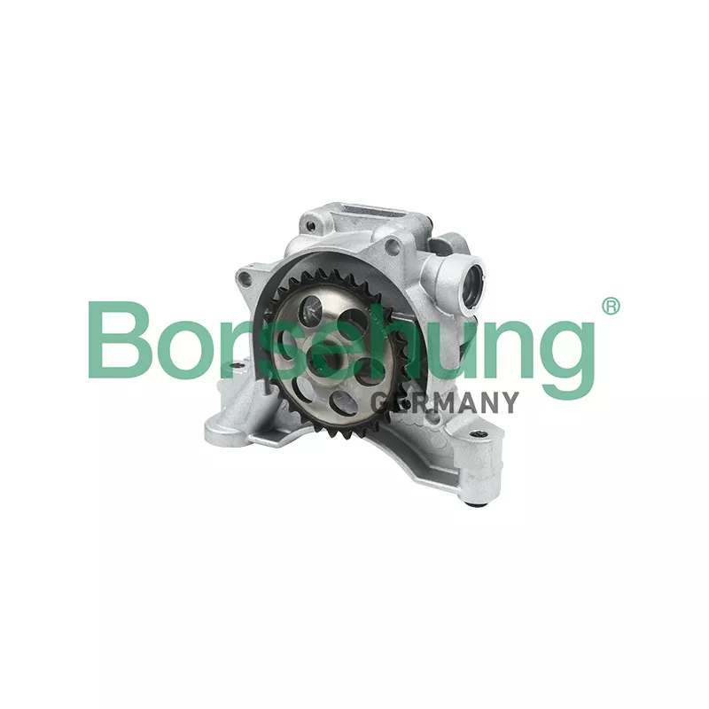 Pompe à huile Borsehung B12697