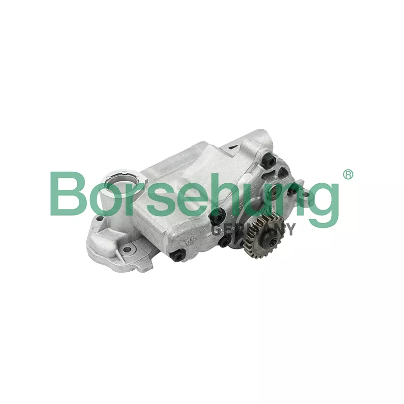 Pompe à huile Borsehung B12698