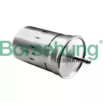 Filtre à carburant Borsehung B12794
