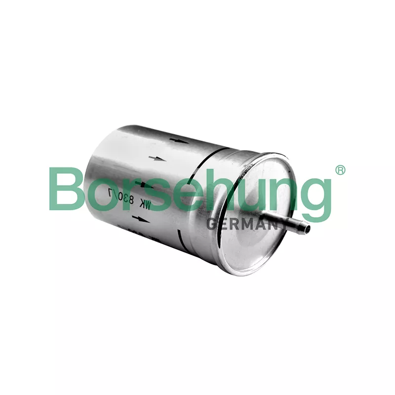 Filtre à carburant Borsehung B12794