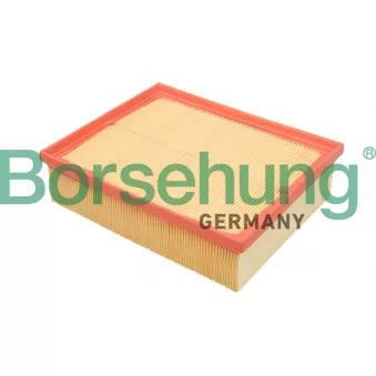 Filtre à air Borsehung B12805