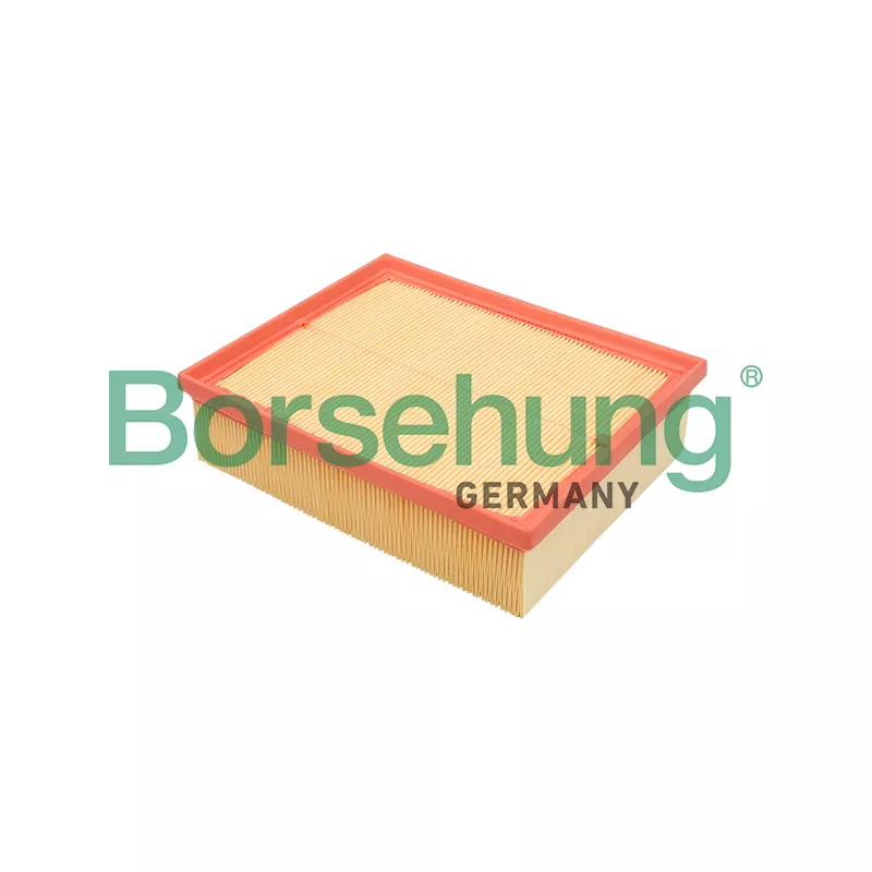 Filtre à air Borsehung B12805
