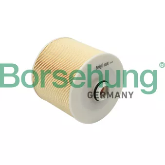 Filtre à air Borsehung B12807